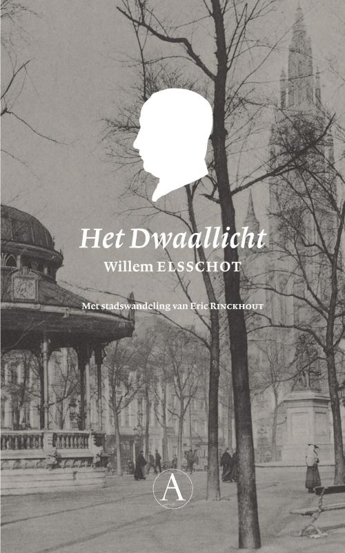 Omslag van Het Dwaallicht