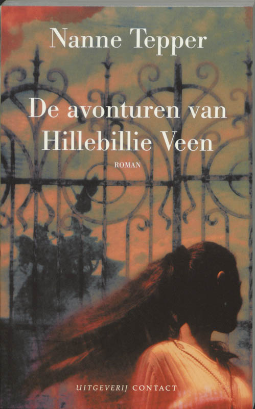 Omslag van De avonturen van Hillebillie Veen