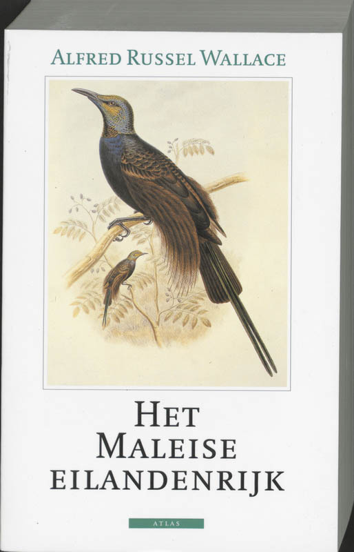 Omslag van Het Maleise eilandenrijk
