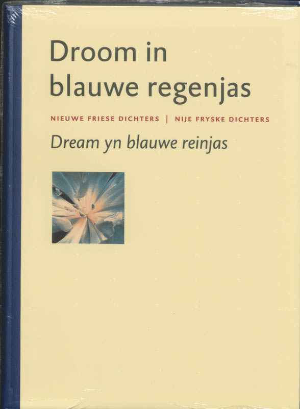 Omslag van Droom in blauwe regenjas / Dream yn blauwe reinjas