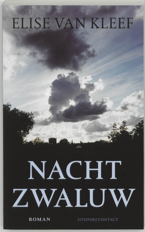 Omslag van Nachtzwaluw