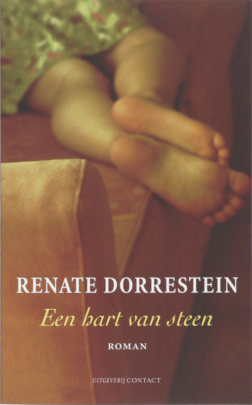 Omslag van Een hart van steen