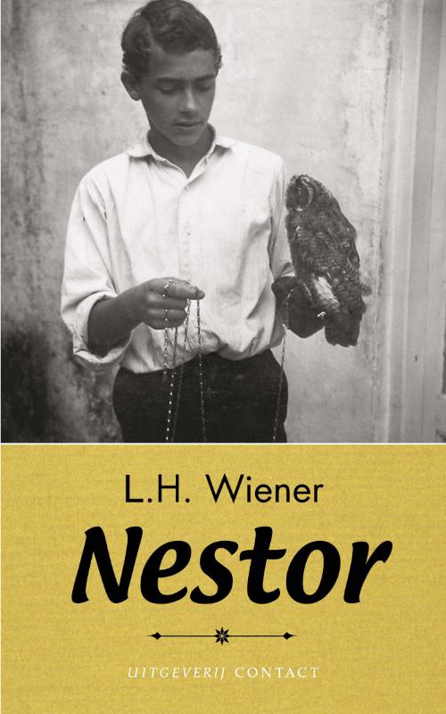Omslag van Nestor