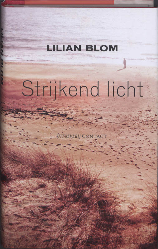 Omslag van Strijkend licht