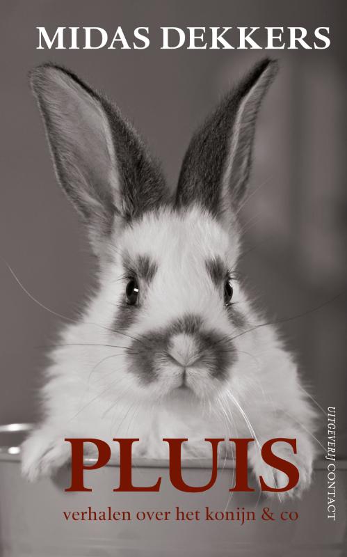 Omslag van Pluis