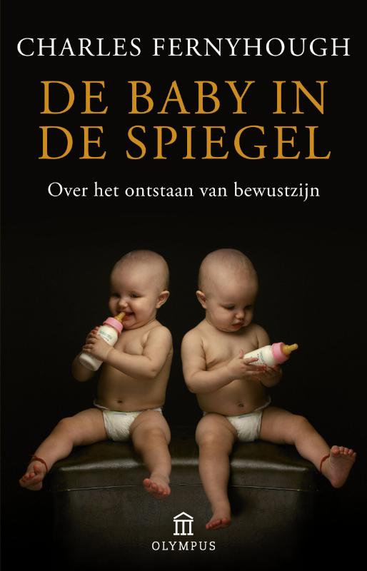 Omslag van De baby in de spiegel