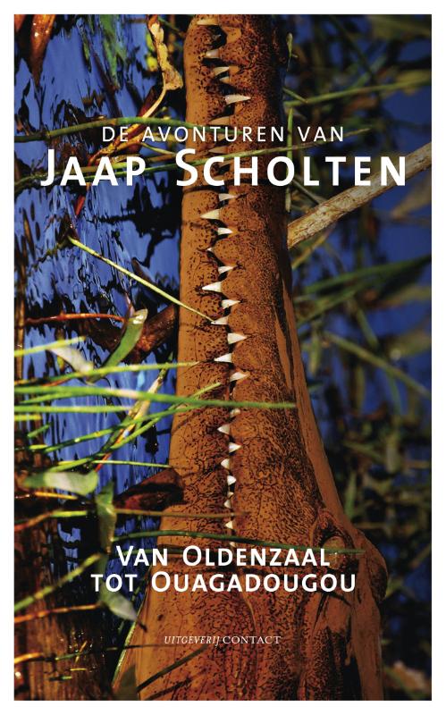Omslag van Van Oldenzaal tot Ouaguadougou