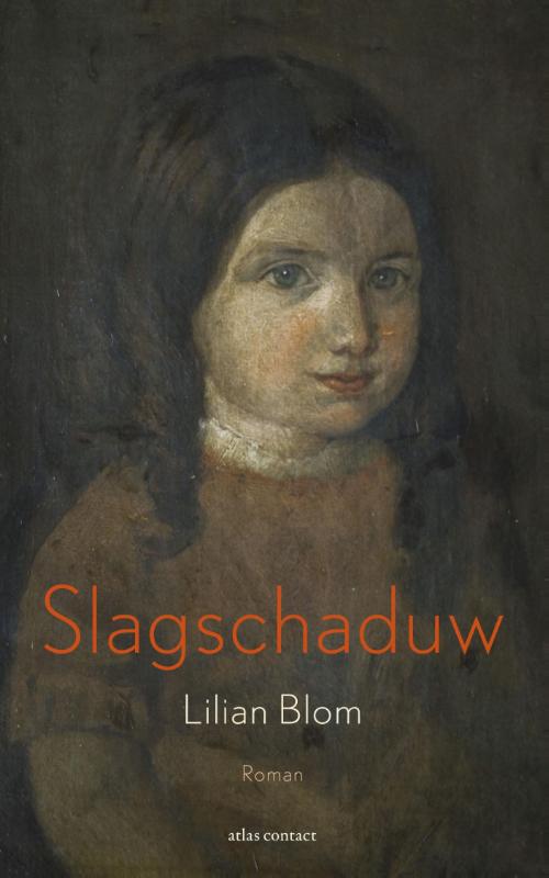 Omslag van Slagschaduw