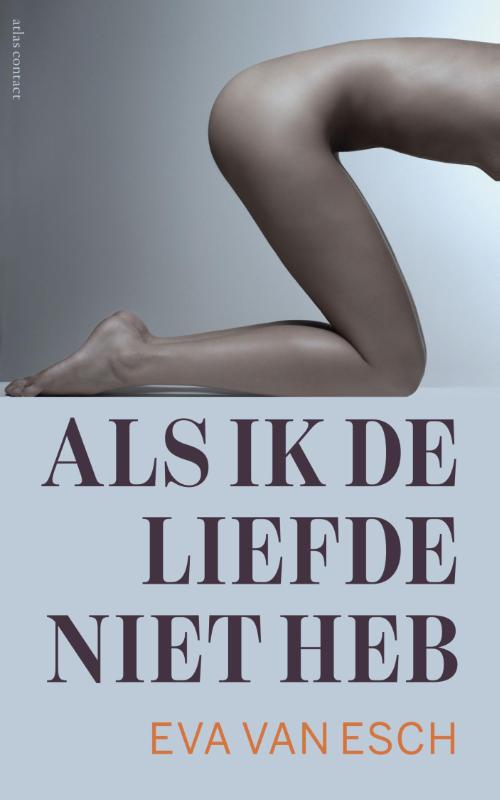 Omslag van Als ik de liefde niet heb
