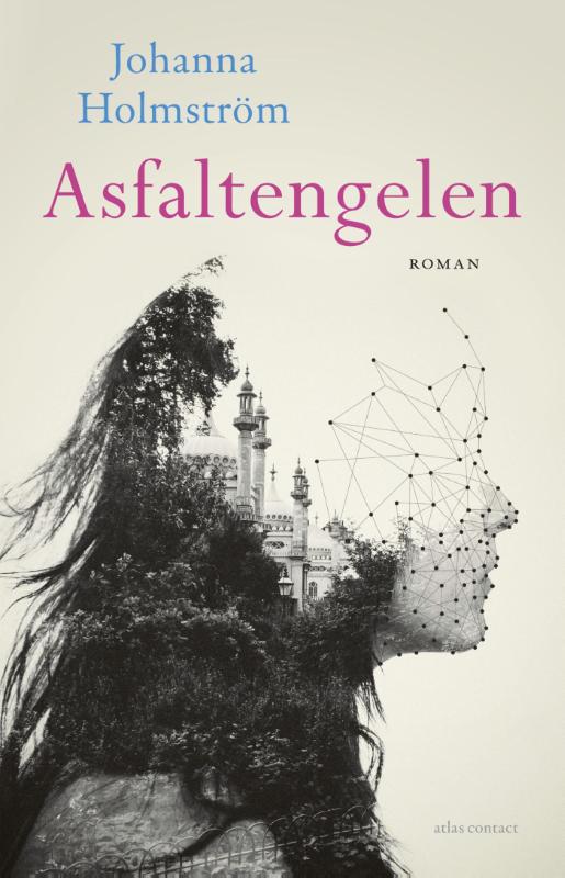 Omslag van Asfaltengelen
