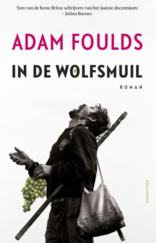 Omslag van In de wolfsmuil