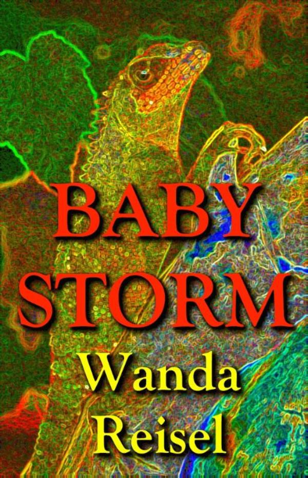 Omslag van Baby Storm