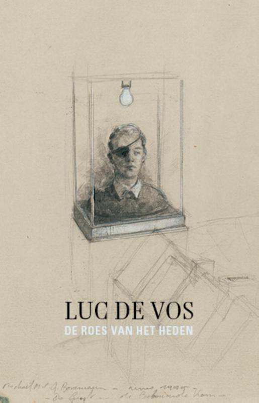 Omslag van De roes van het heden
