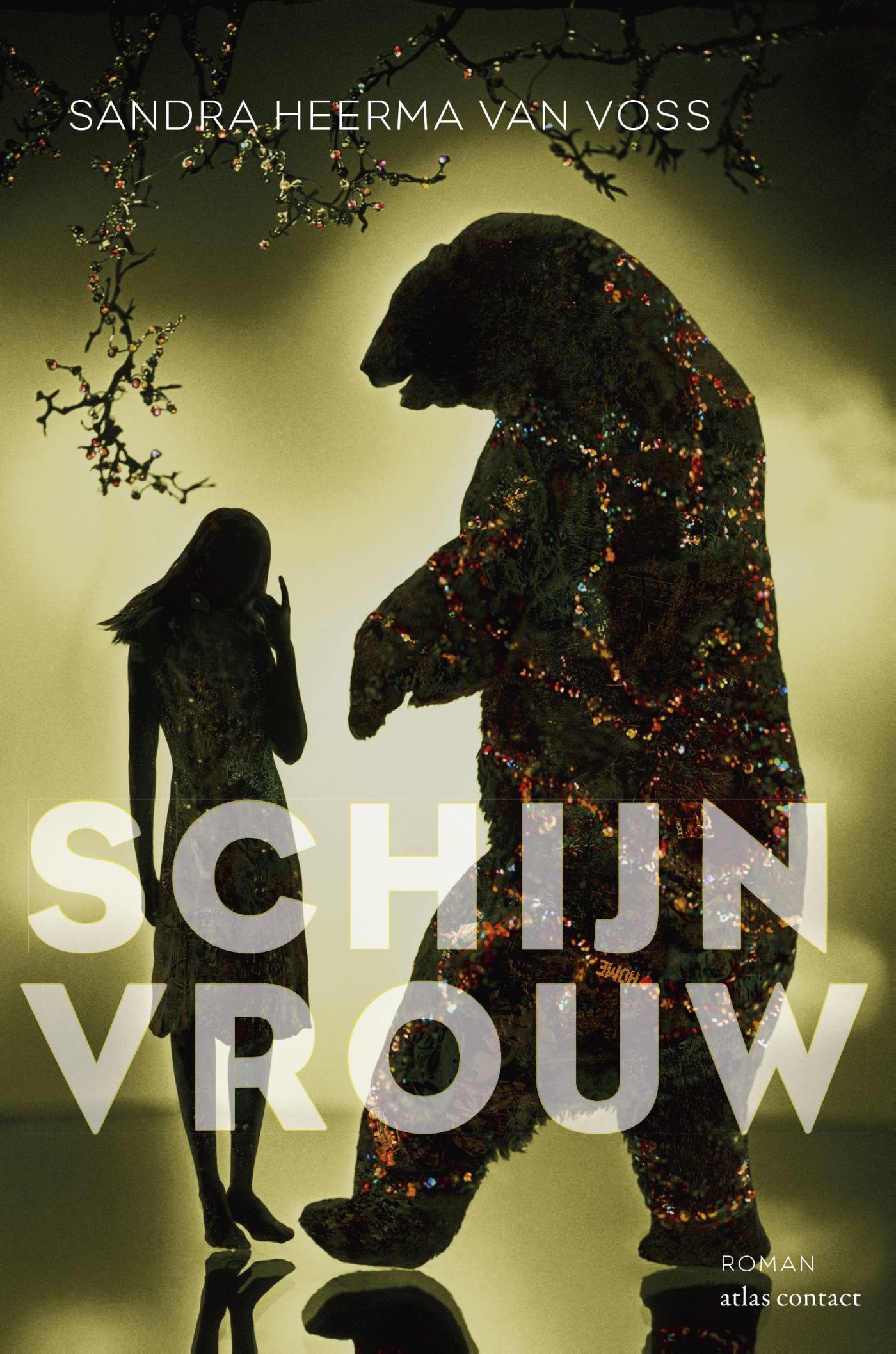 Omslag van Schijnvrouw
