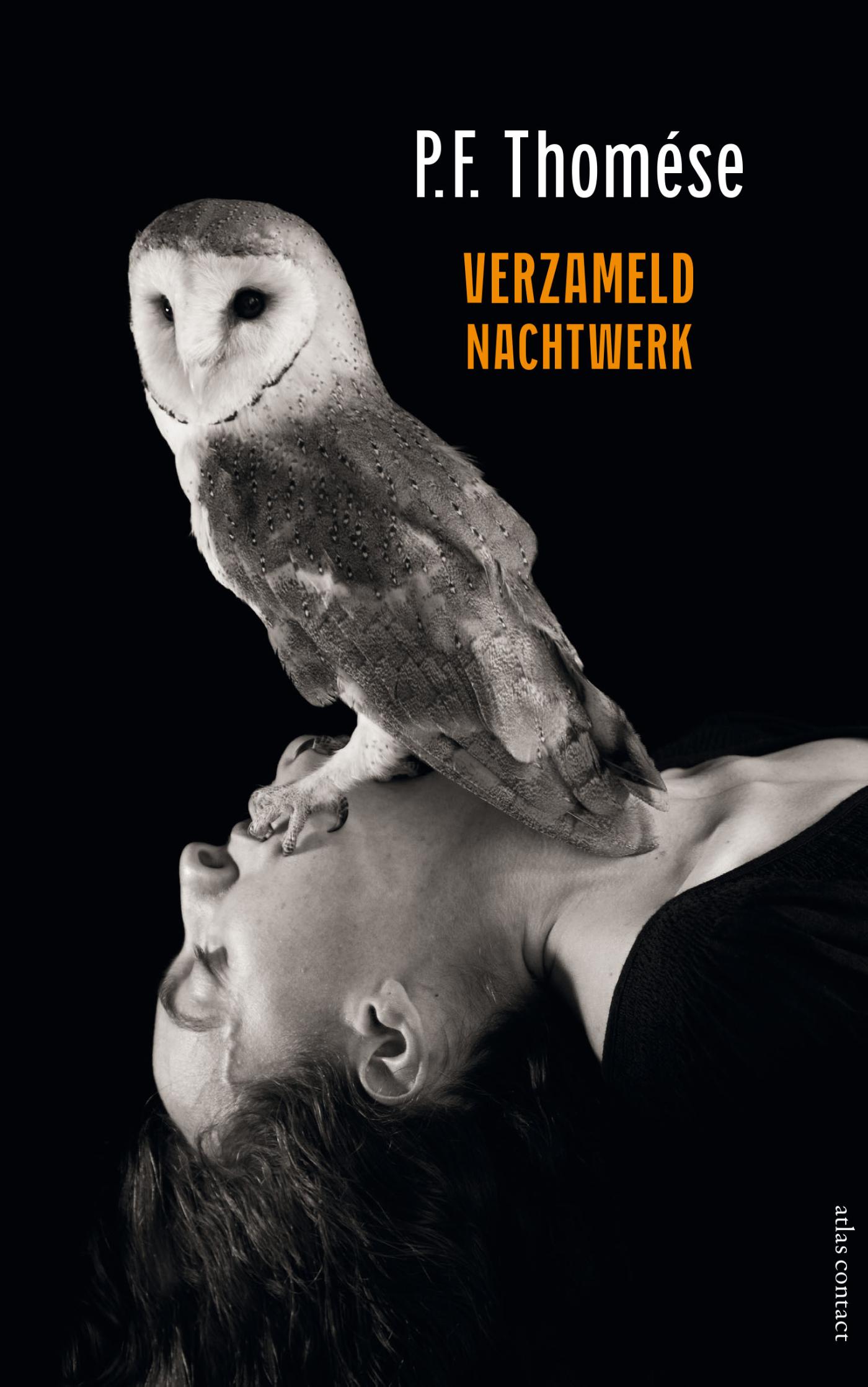 Omslag van Verzameld nachtwerk