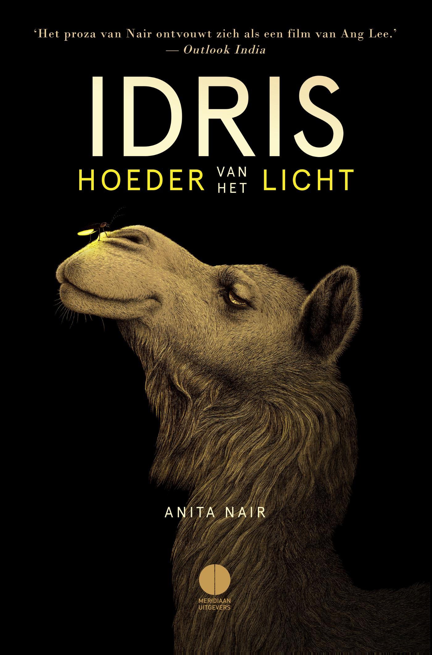 Omslag van Idris, hoeder van het licht