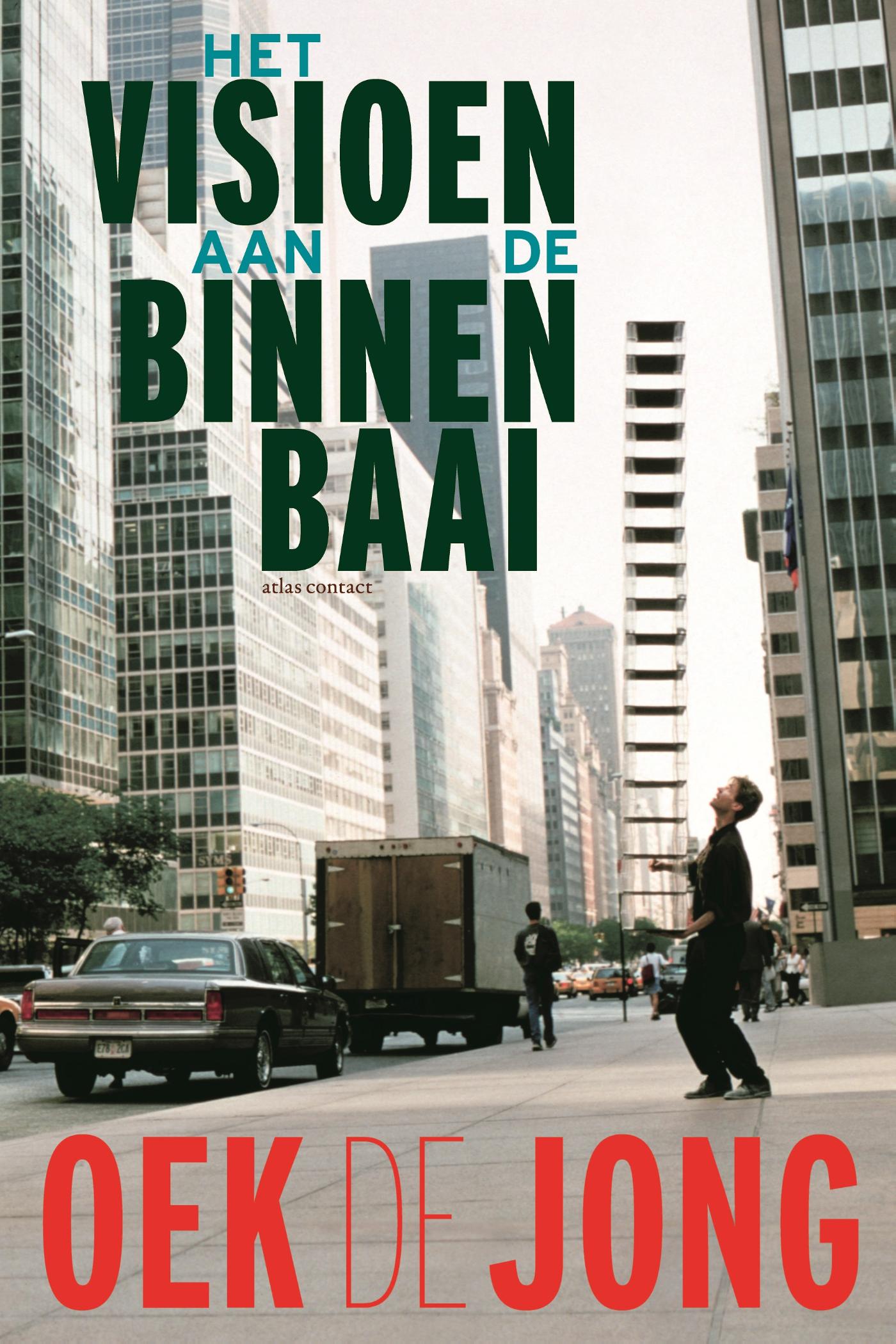 Omslag van Het visioen aan de binnenbaai