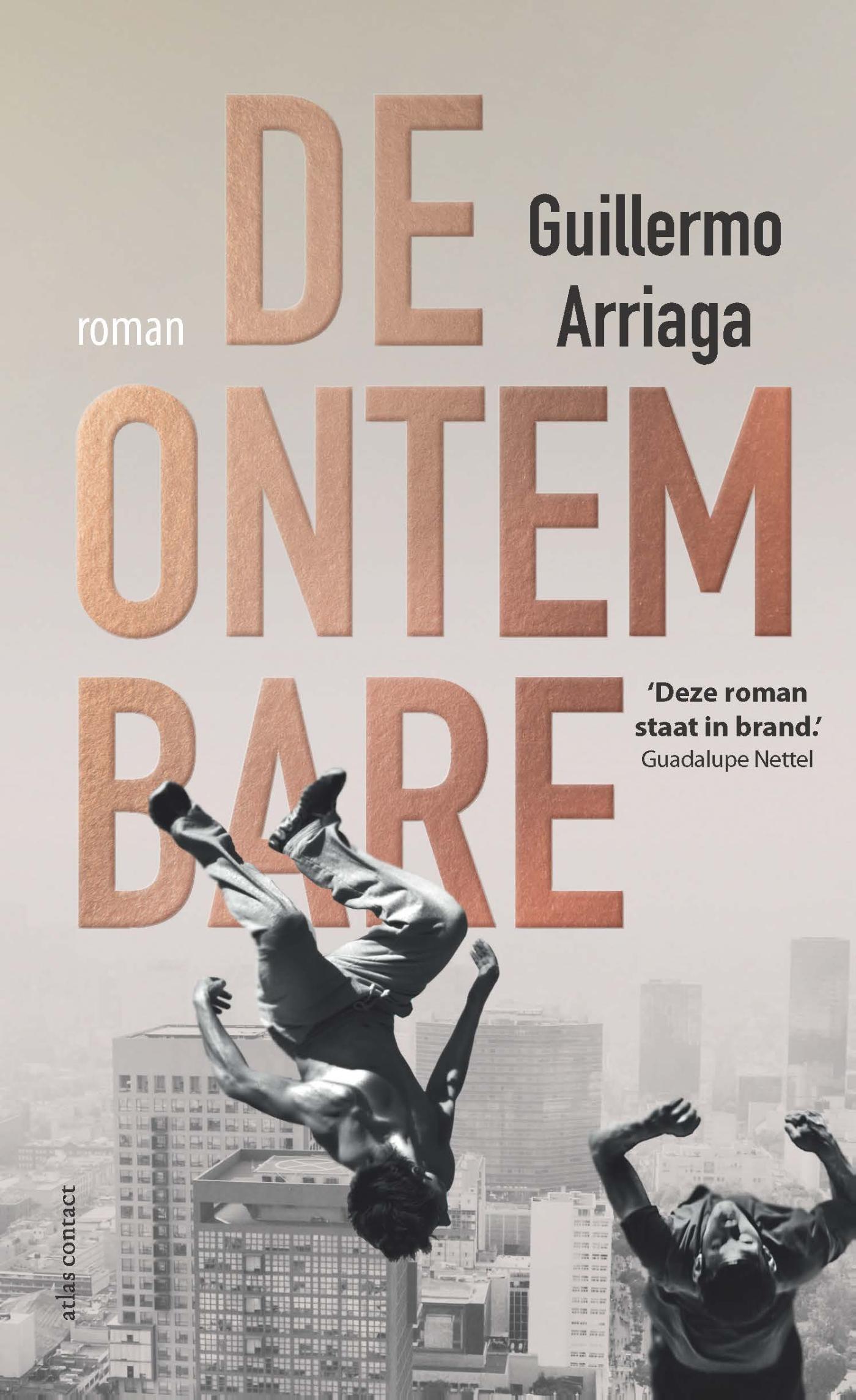 Omslag van De ontembare