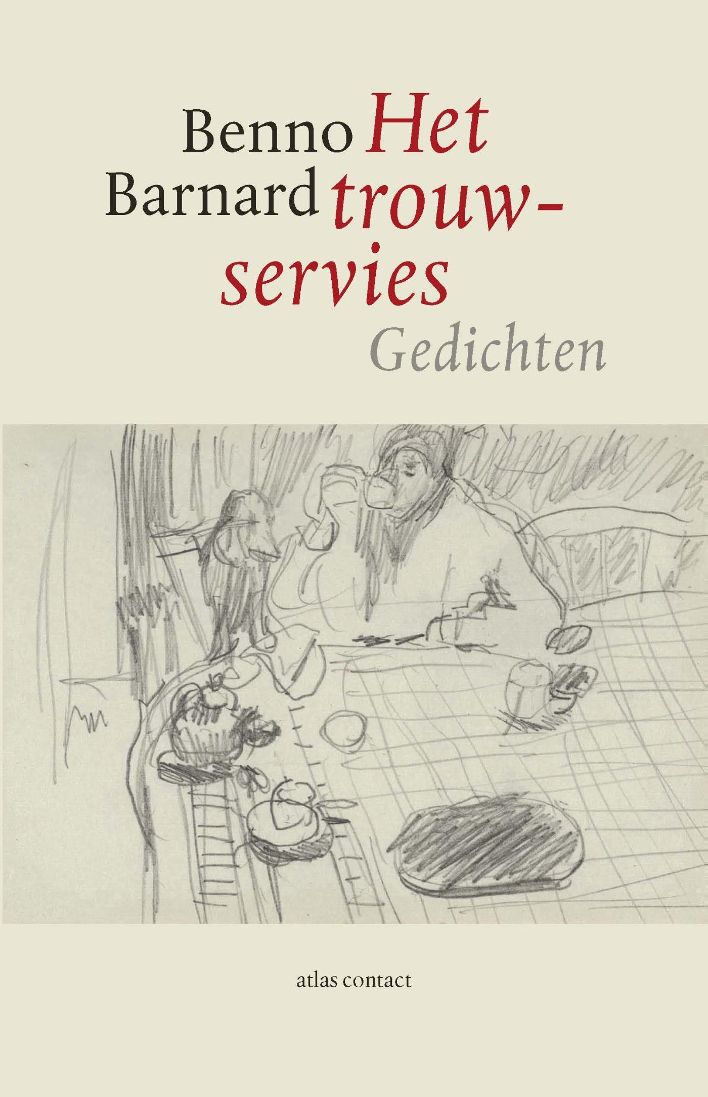 Omslag van Het trouwservies