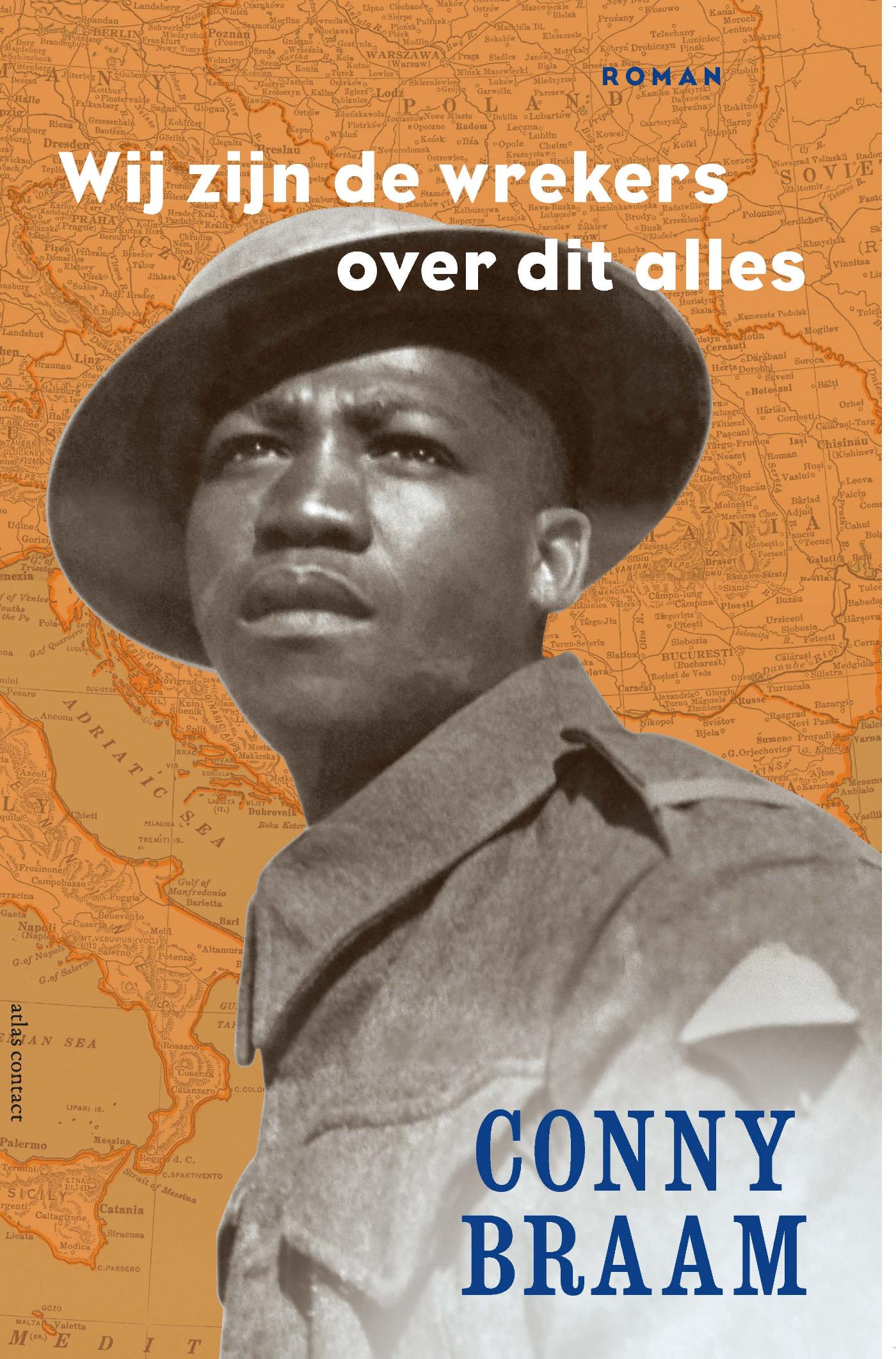 Omslag van Wij zijn de wrekers over dit alles