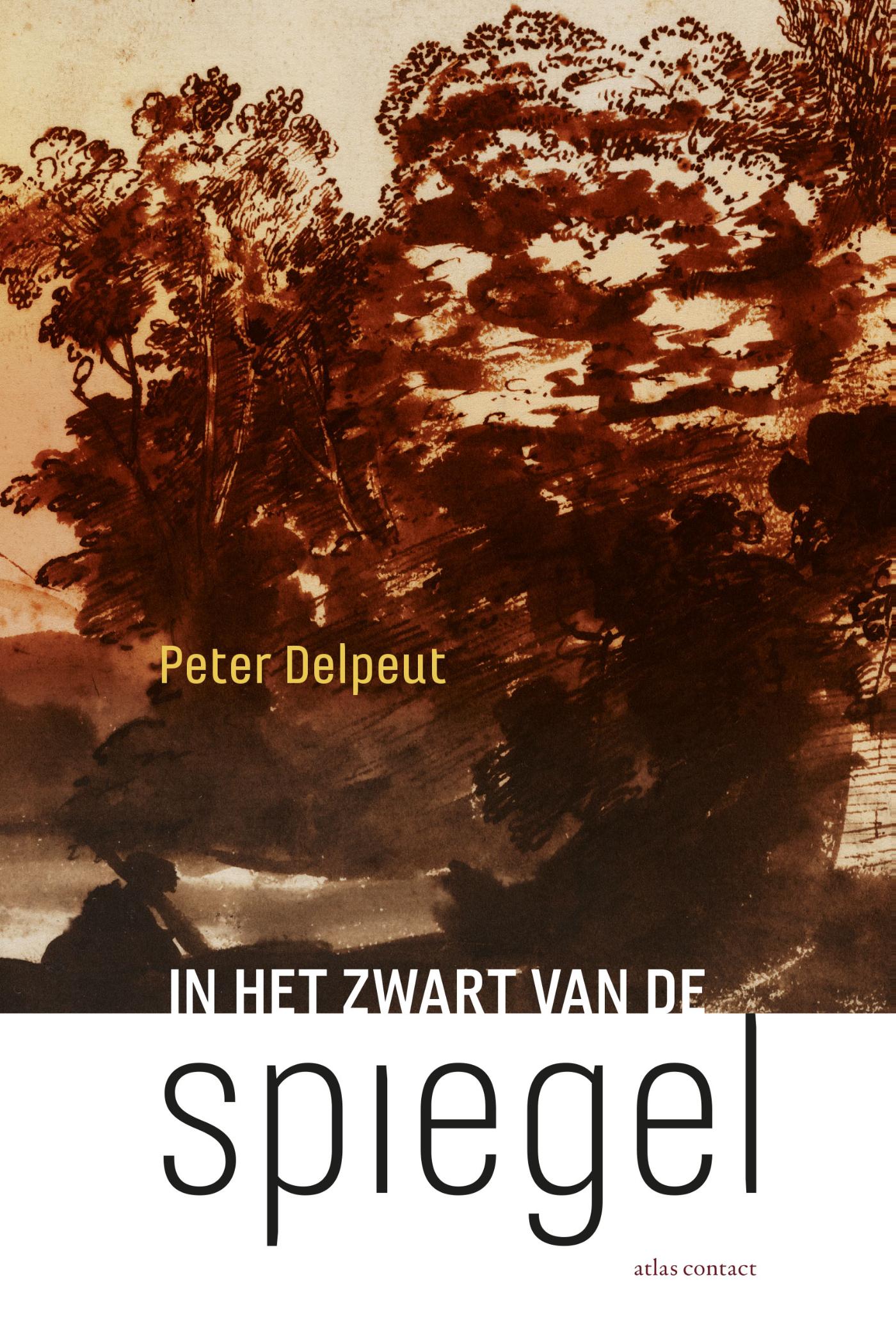 Omslag van In het zwart van de spiegel