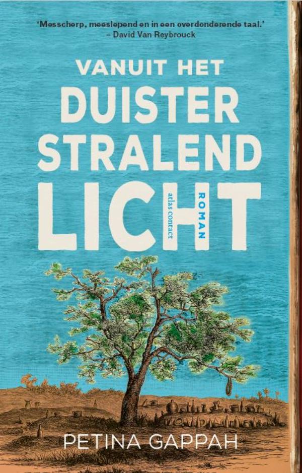 Omslag van Vanuit het duister stralend licht