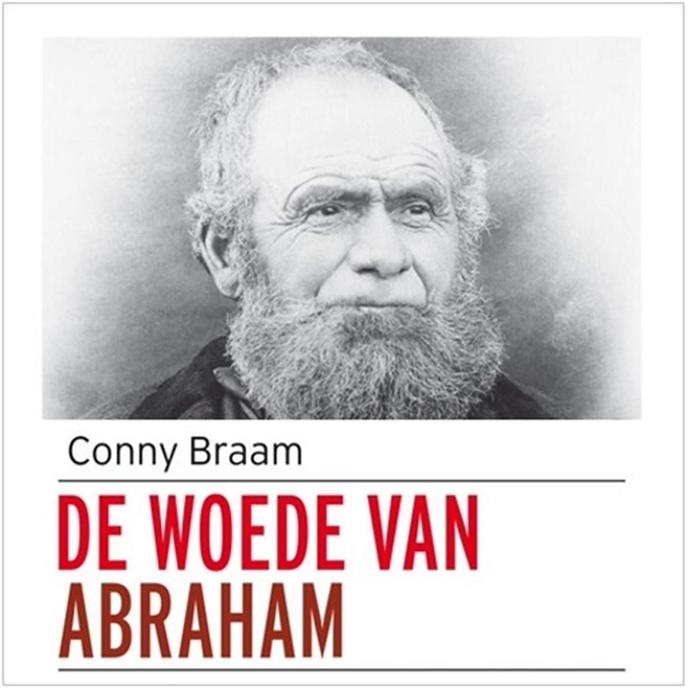 Omslag van De woede van Abraham