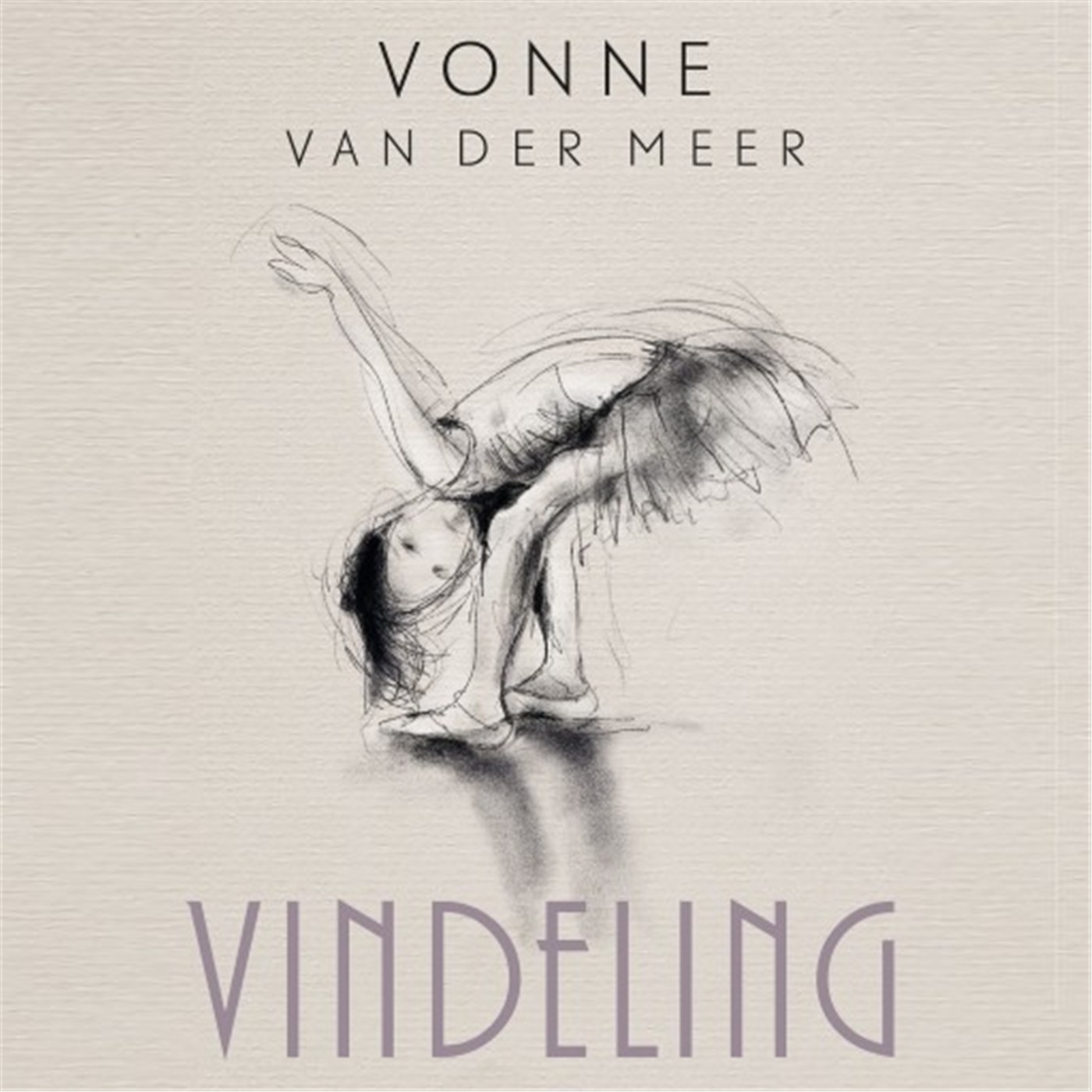 Omslag van Vindeling