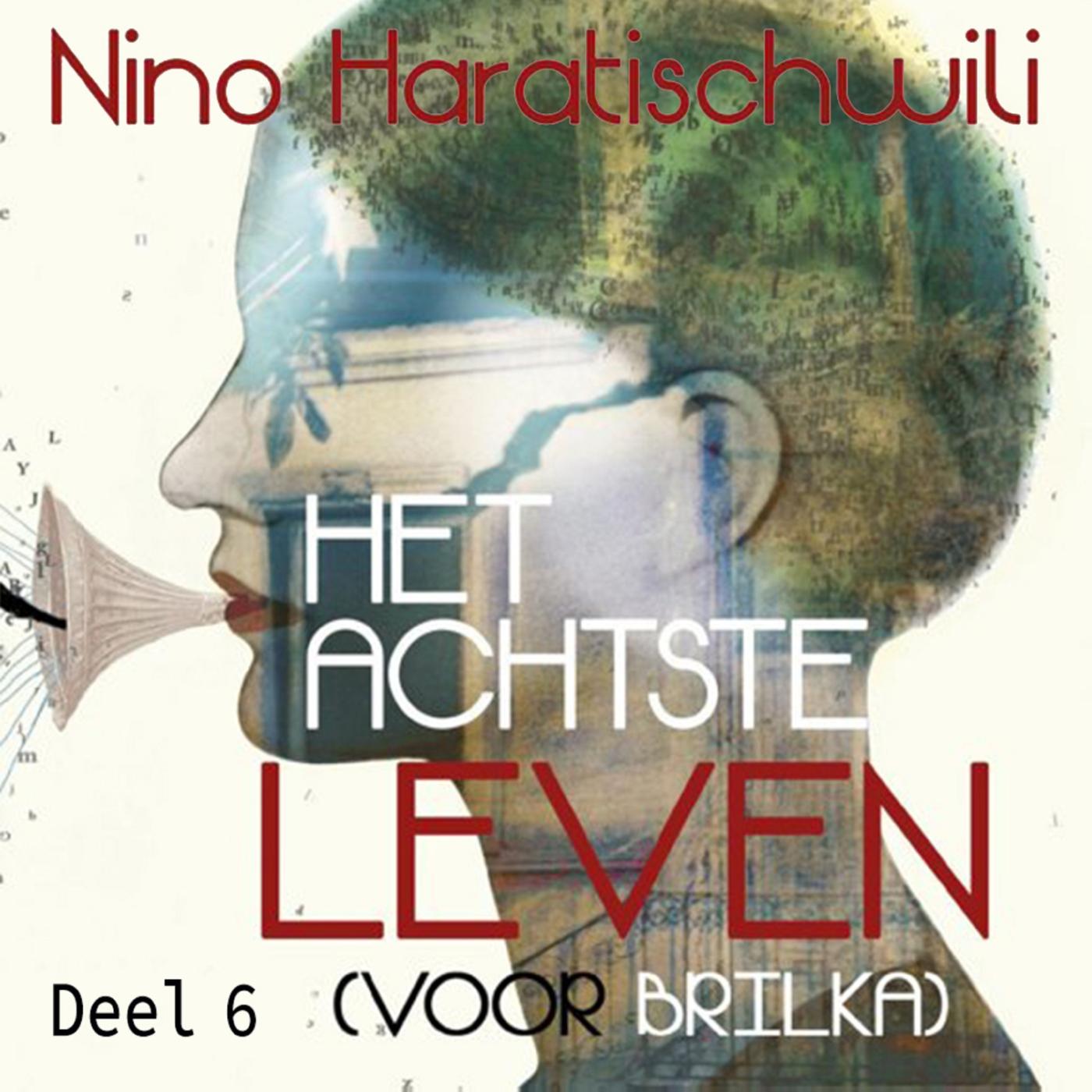 Omslag van Het achtste leven