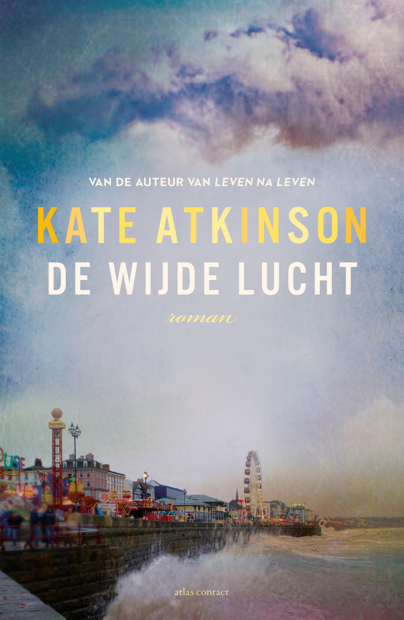 Omslag van De wijde lucht