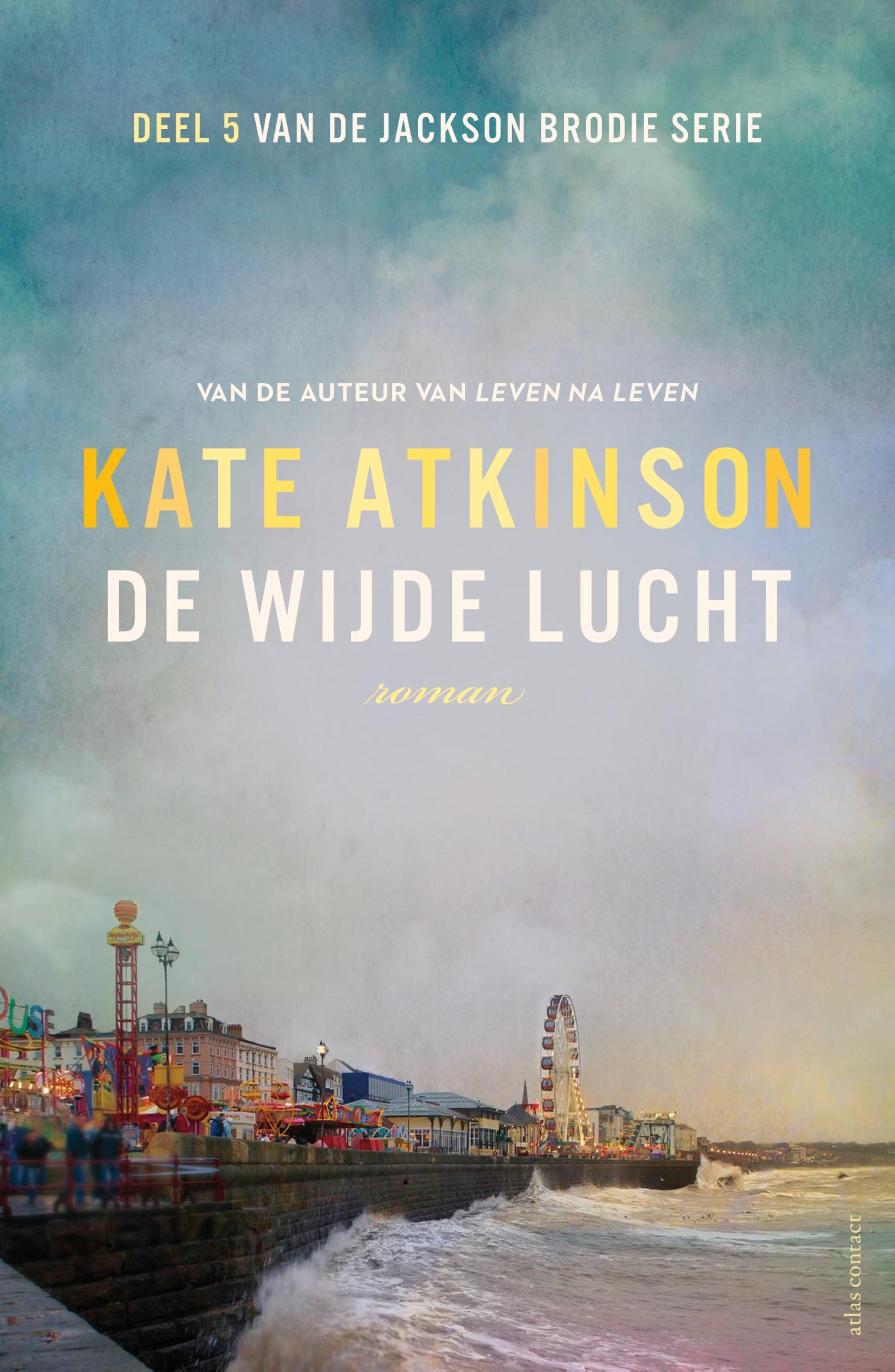 Omslag van De wijde lucht