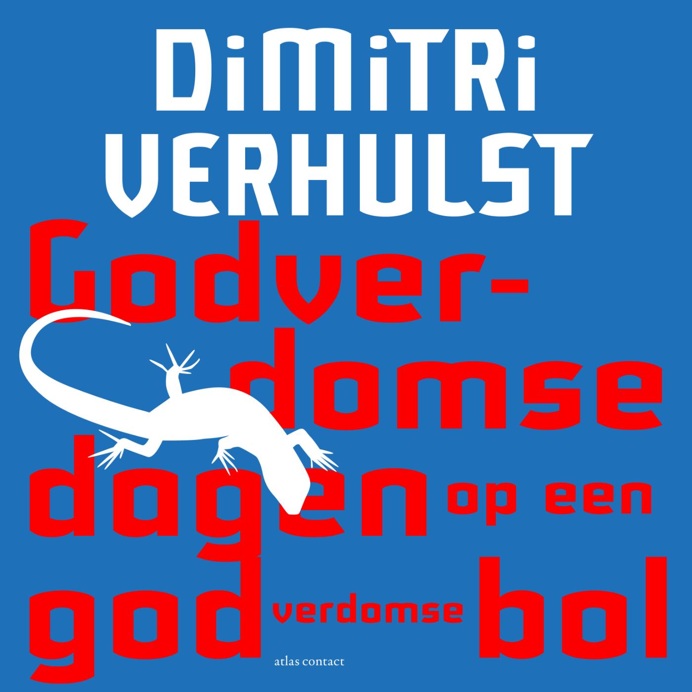 Omslag van Godverdomse dagen op een godverdomse bol
