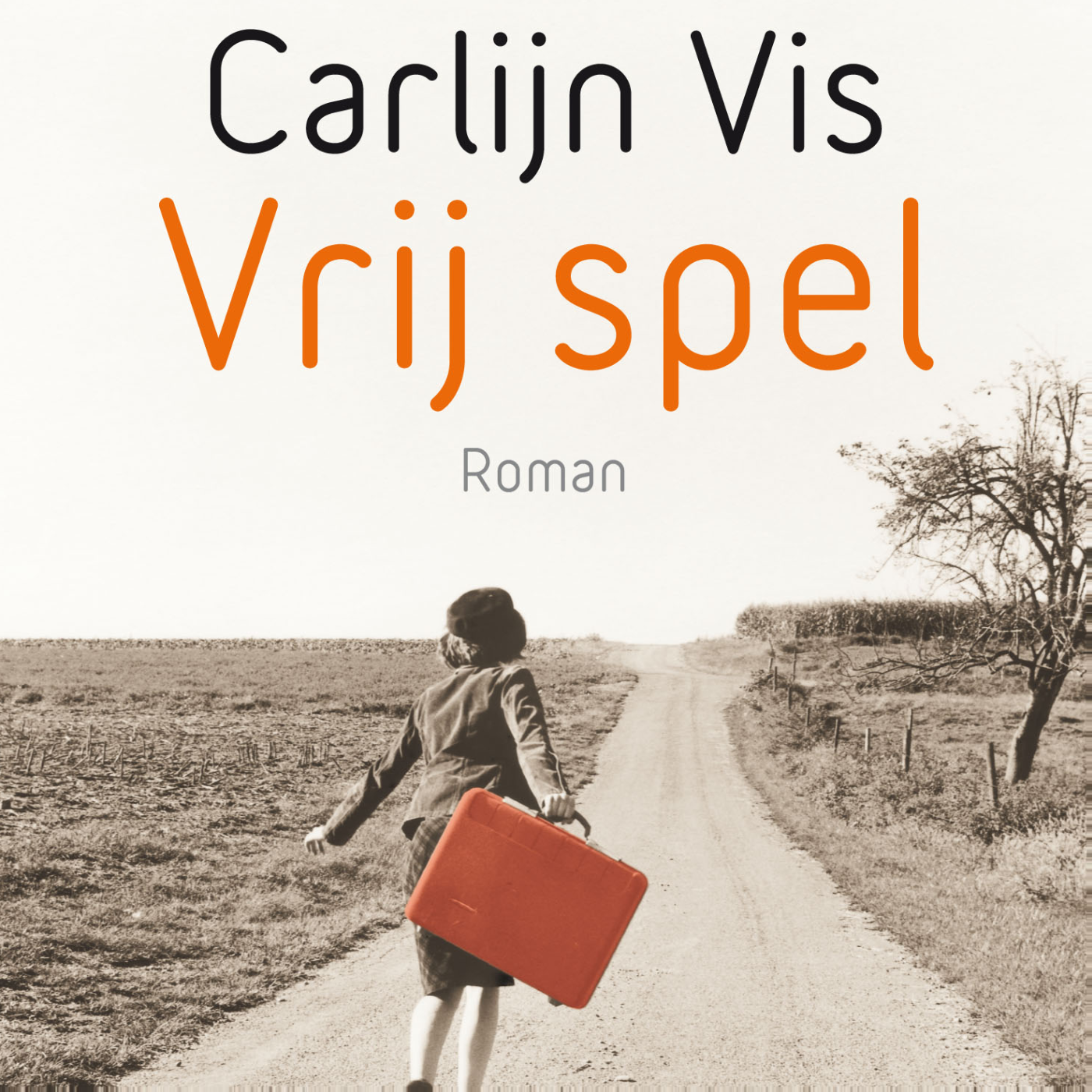 Omslag van Vrij spel