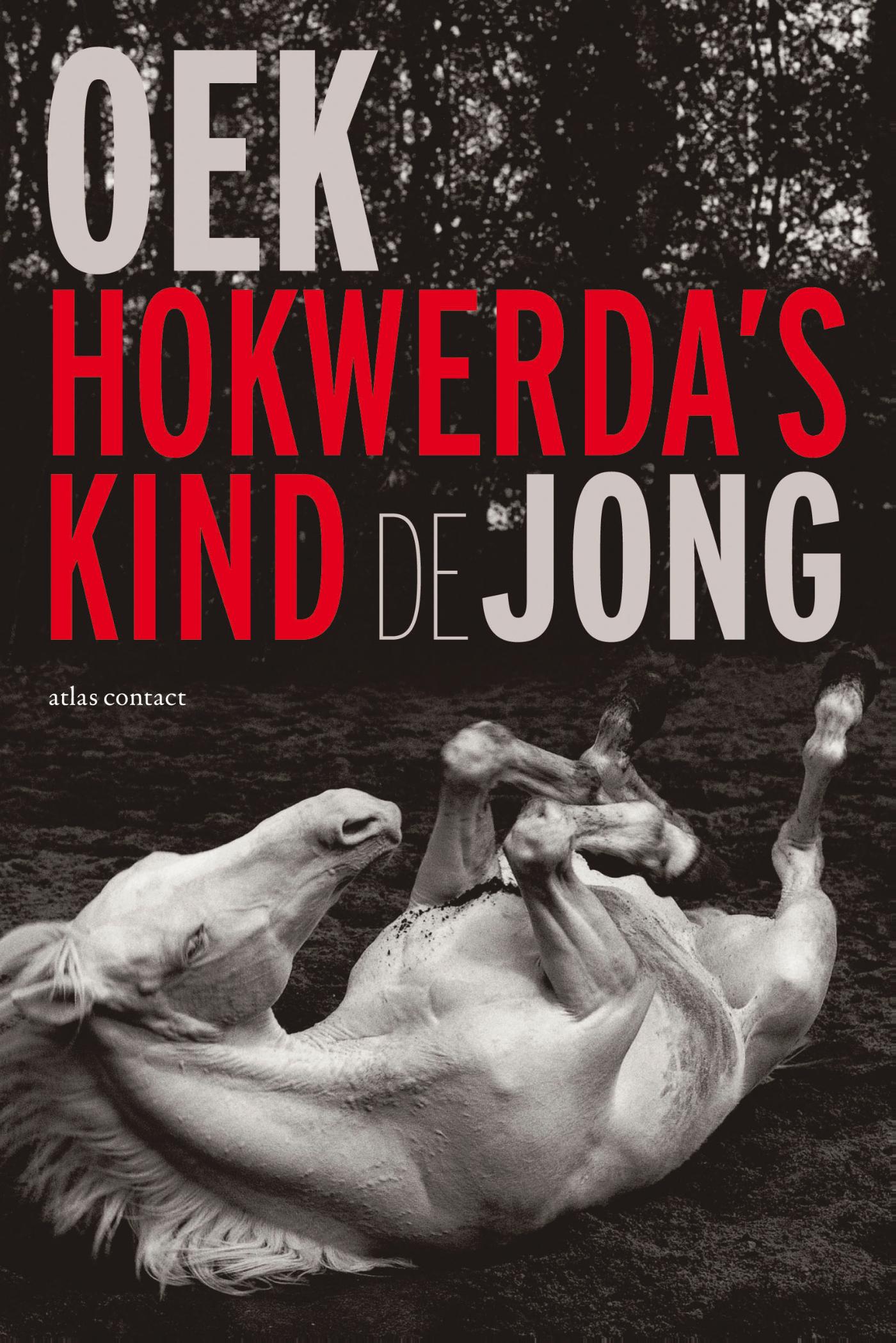 Omslag van Hokwerda's kind