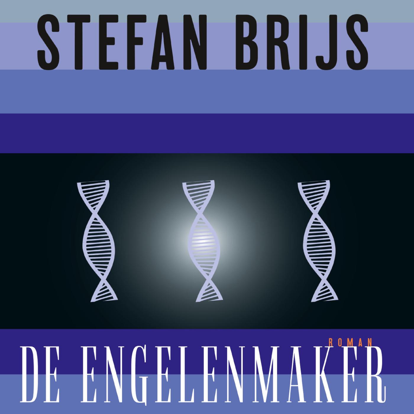 Omslag van De engelenmaker
