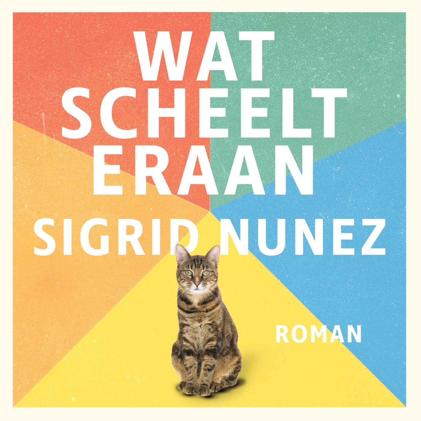Omslag van Wat scheelt eraan