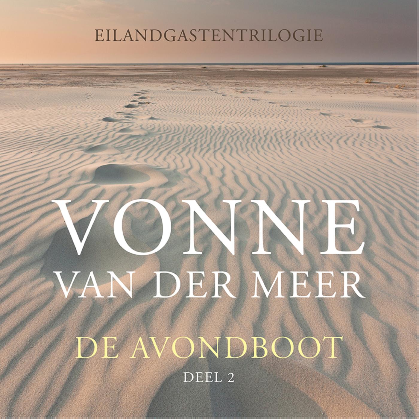 Omslag van De avondboot