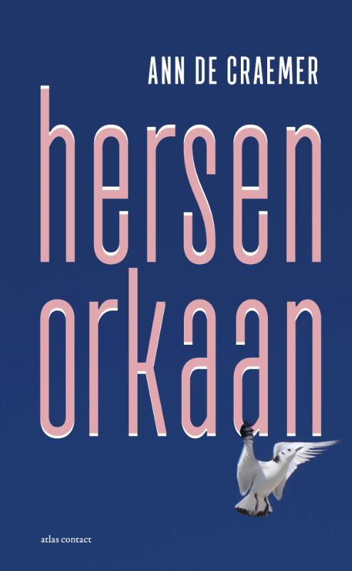 Omslag van Hersenorkaan
