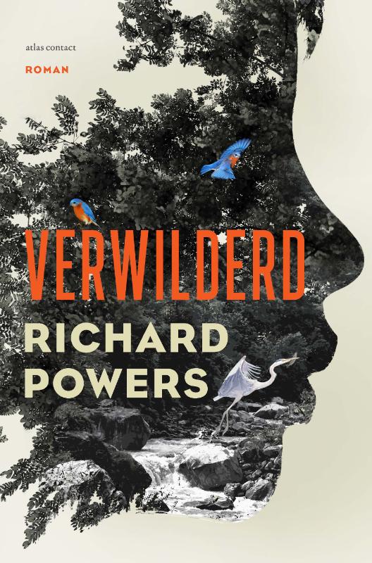 Omslag van Verwilderd
