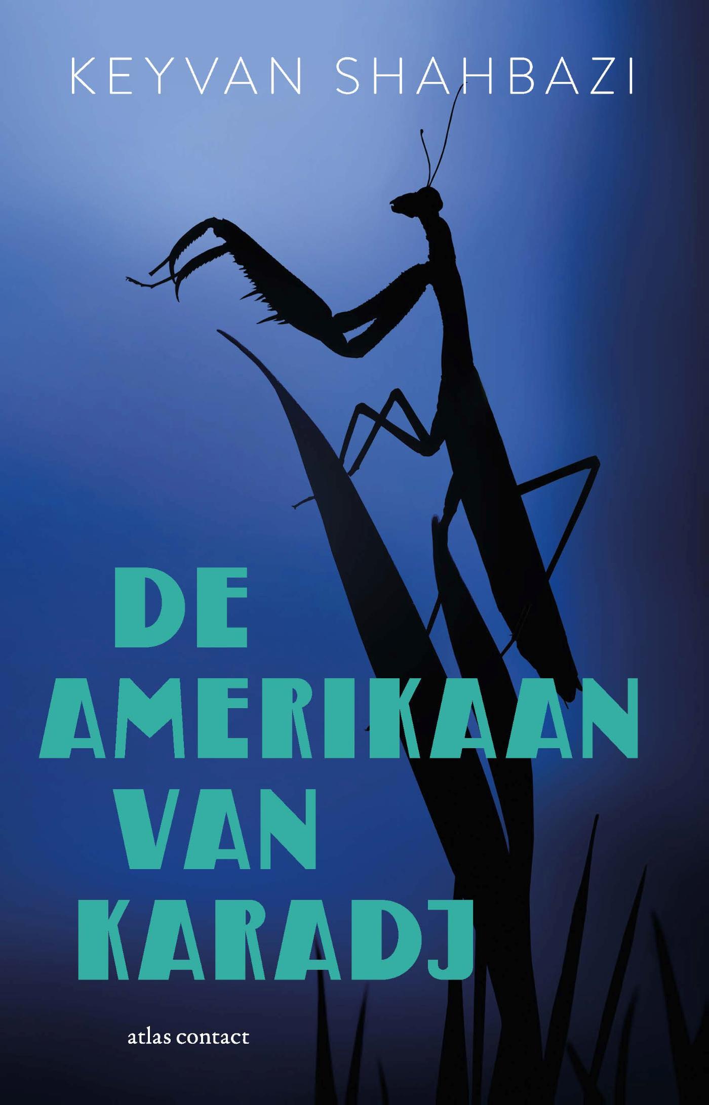 Omslag van De Amerikaan van Karadj