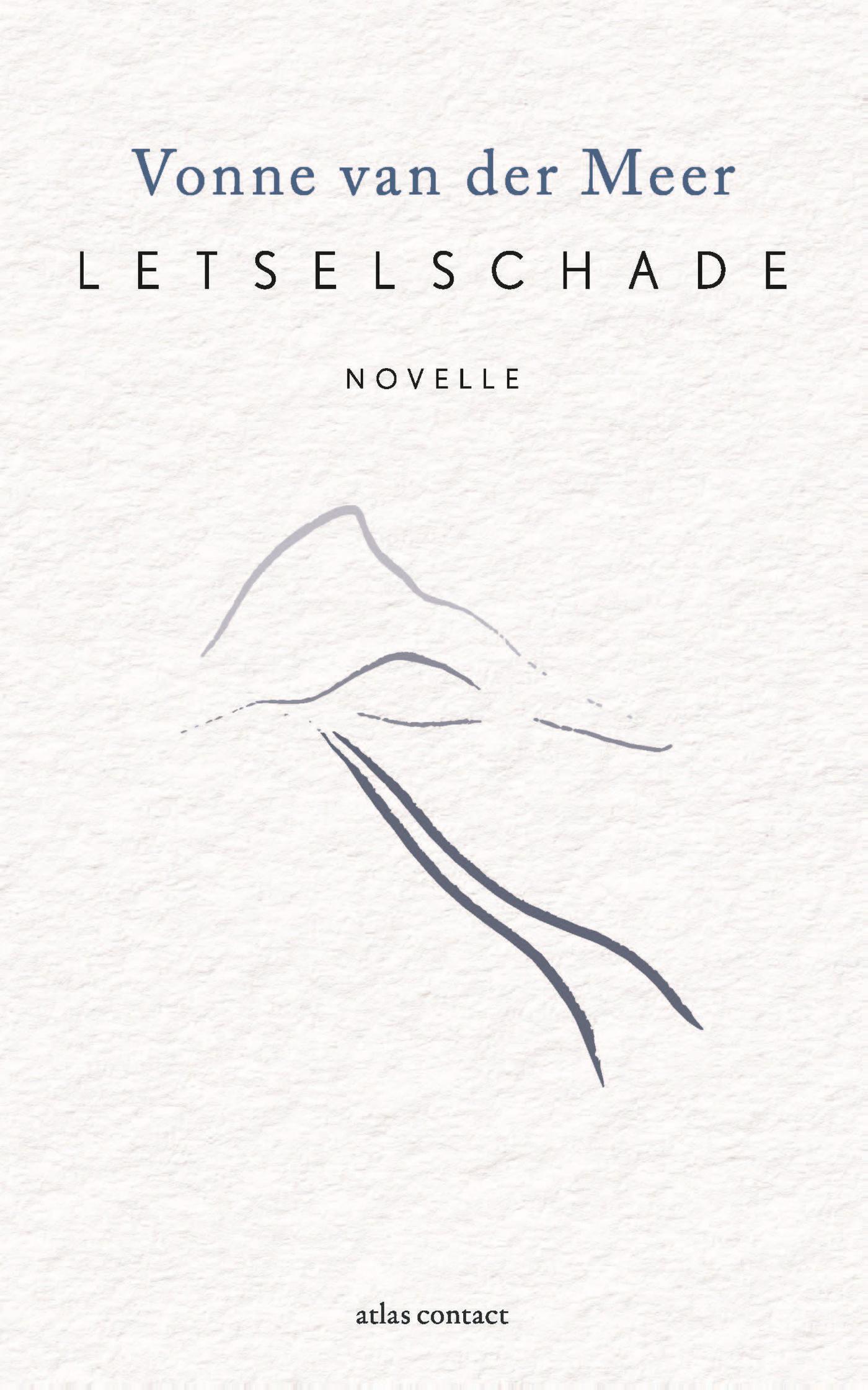 Omslag van Letselschade