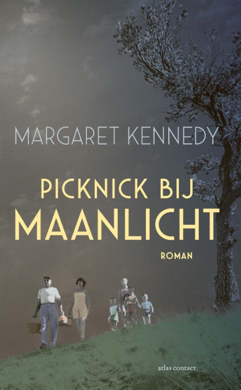 Omslag van Picknick bij maanlicht