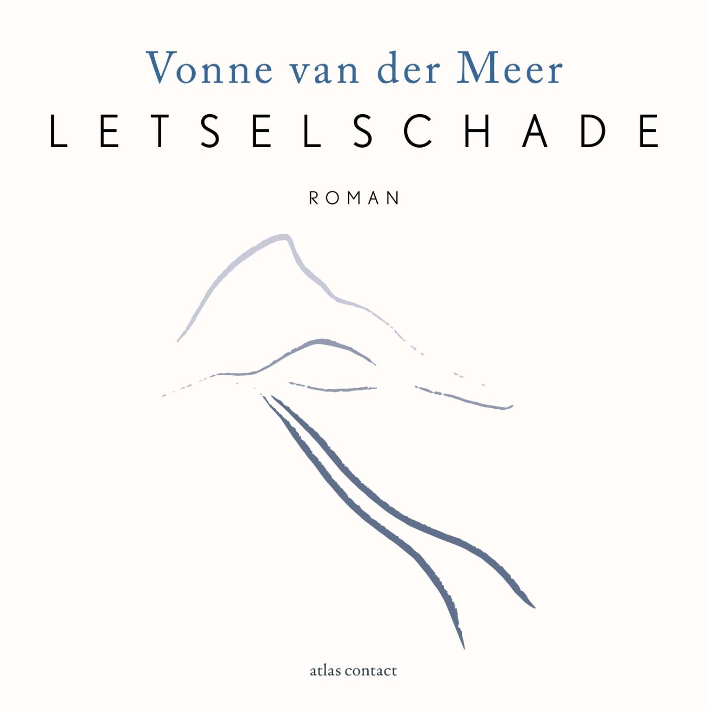 Omslag van Letselschade