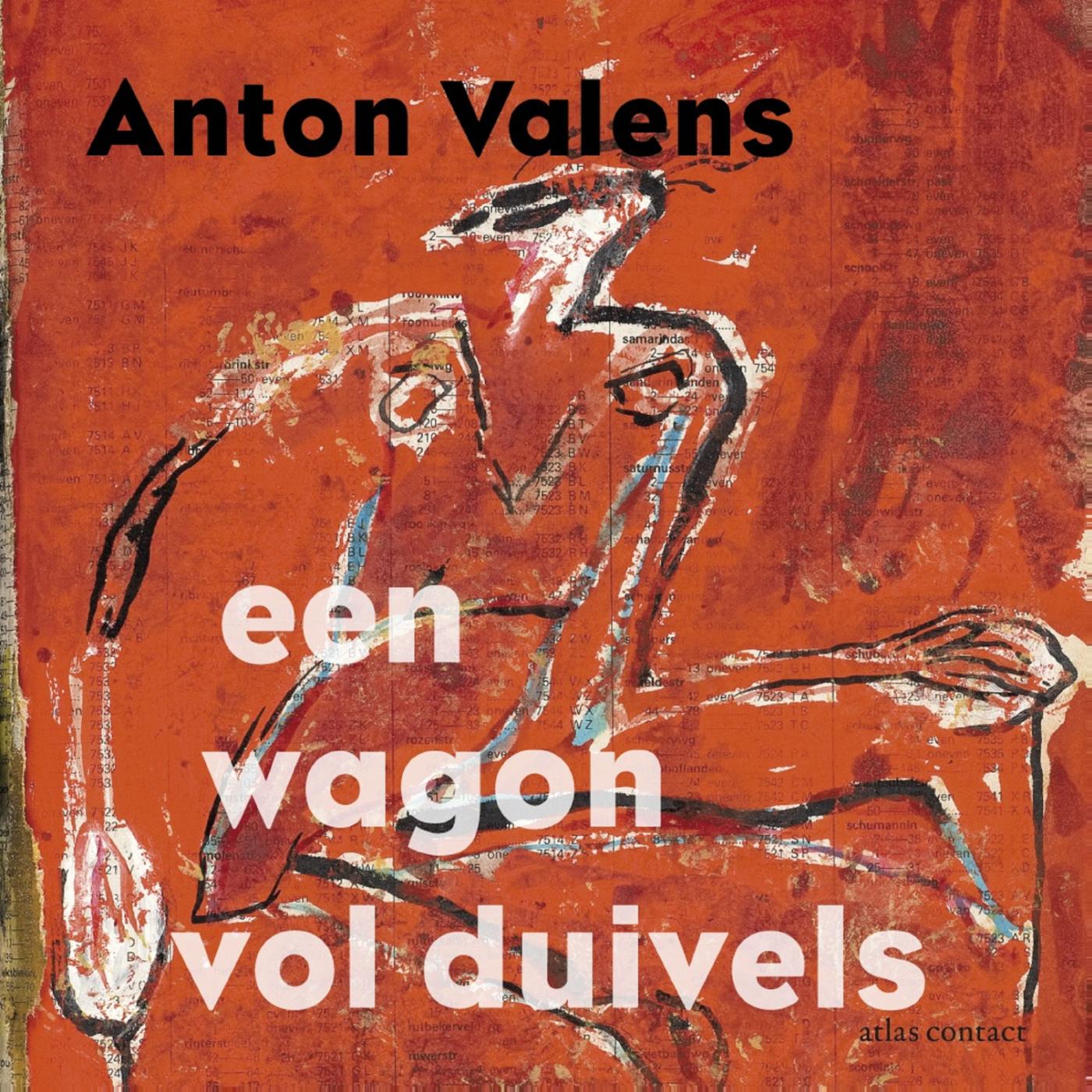 Omslag van Een wagon vol duivels