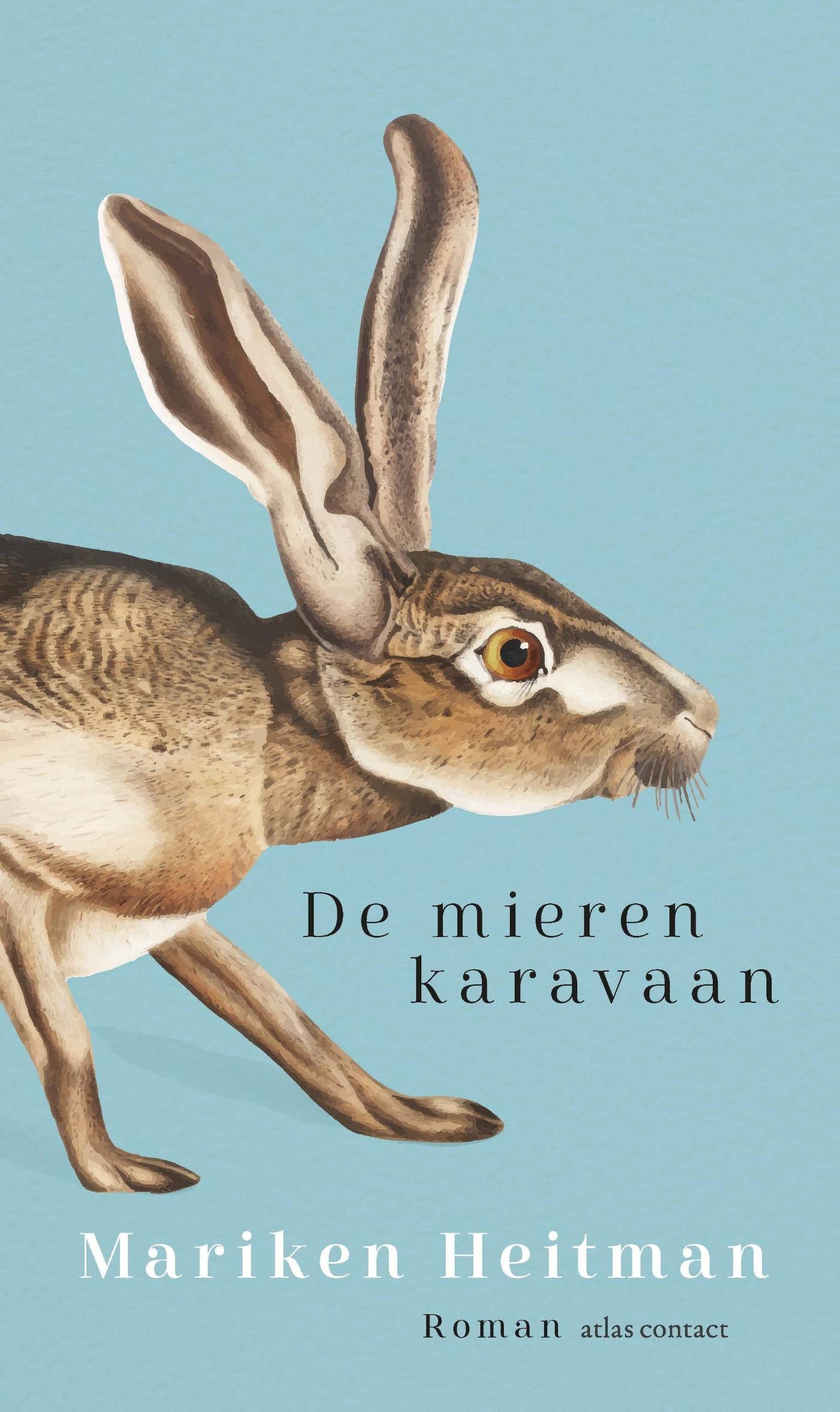 Omslag van De mierenkaravaan