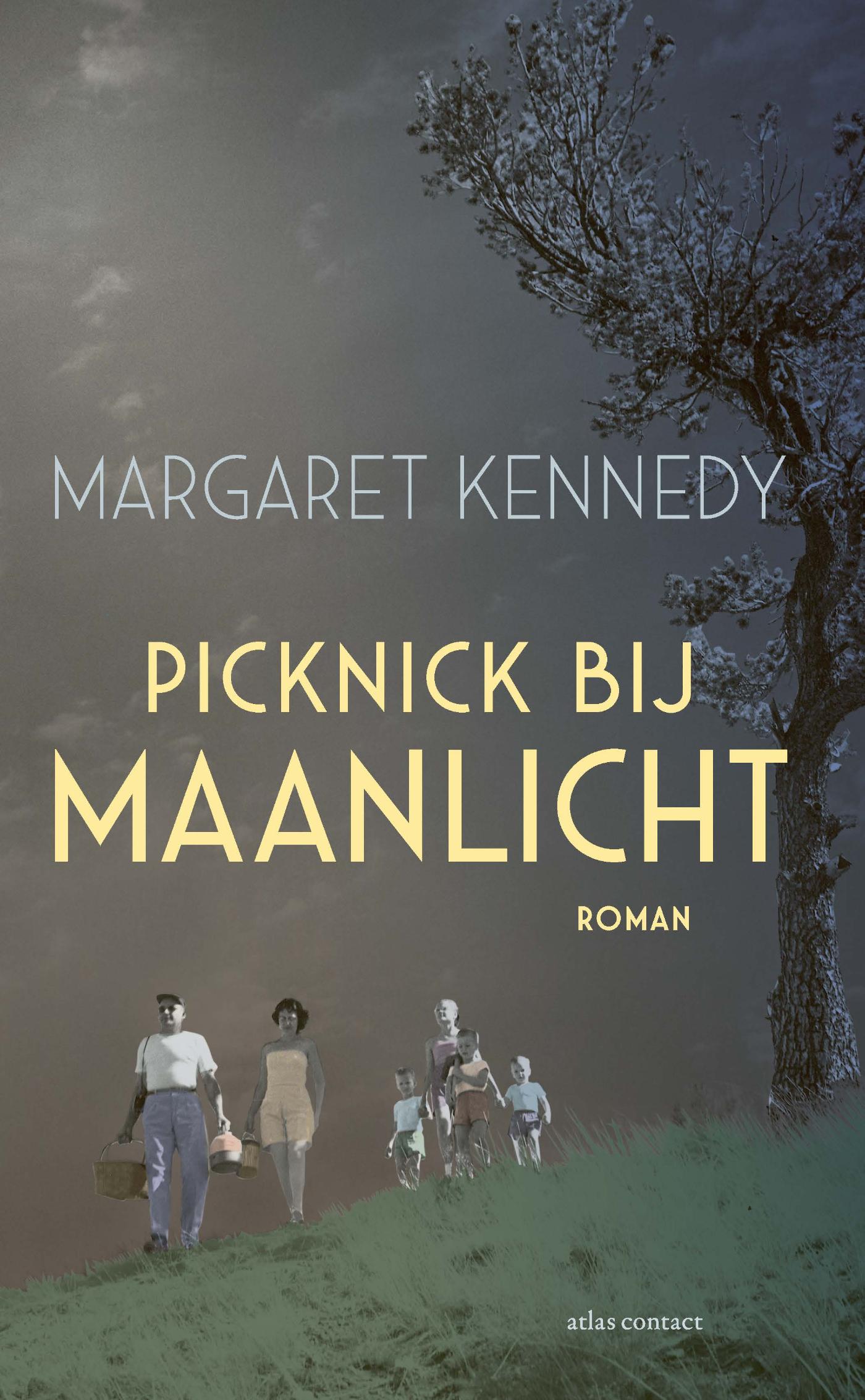 Omslag van Picknick bij maanlicht