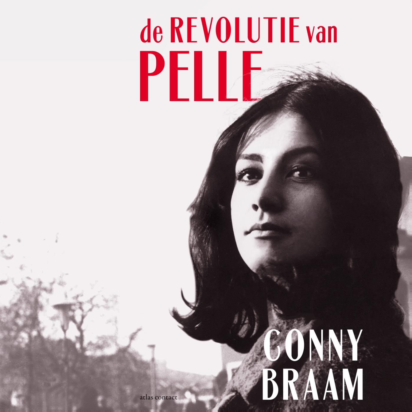 Omslag van De revolutie van Pelle