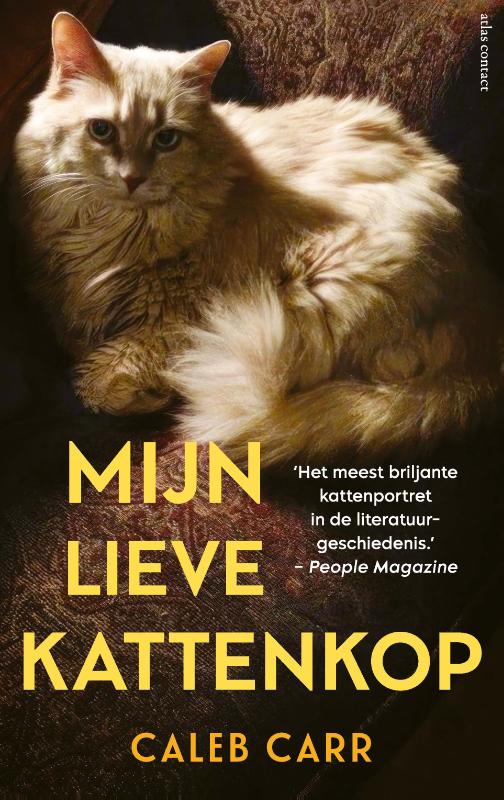 Omslag van Mijn lieve kattenkop