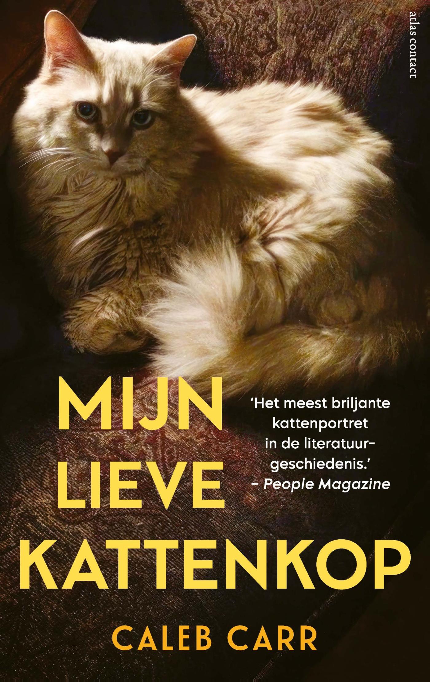 Omslag van Mijn lieve kattenkop