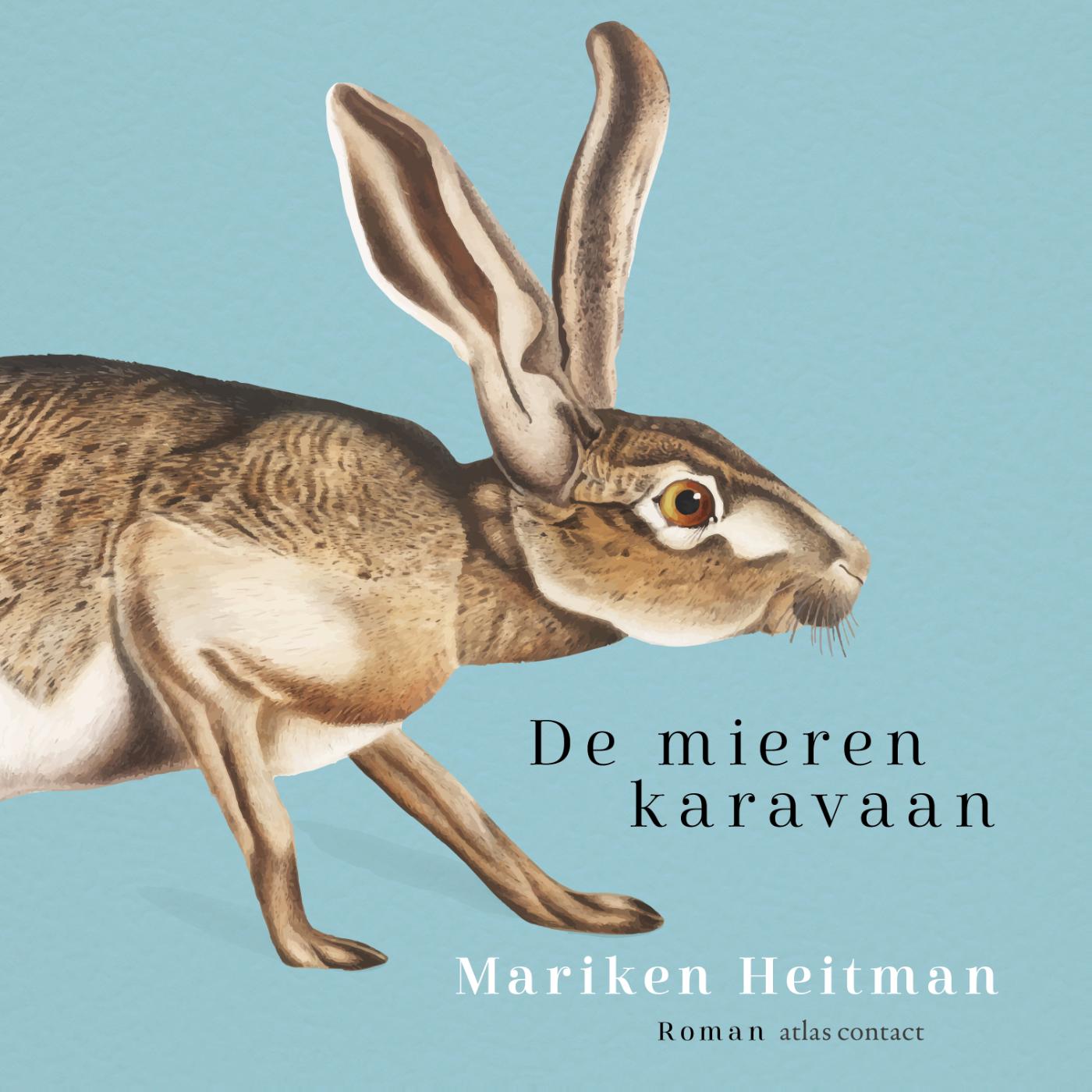 Omslag van De mierenkaravaan